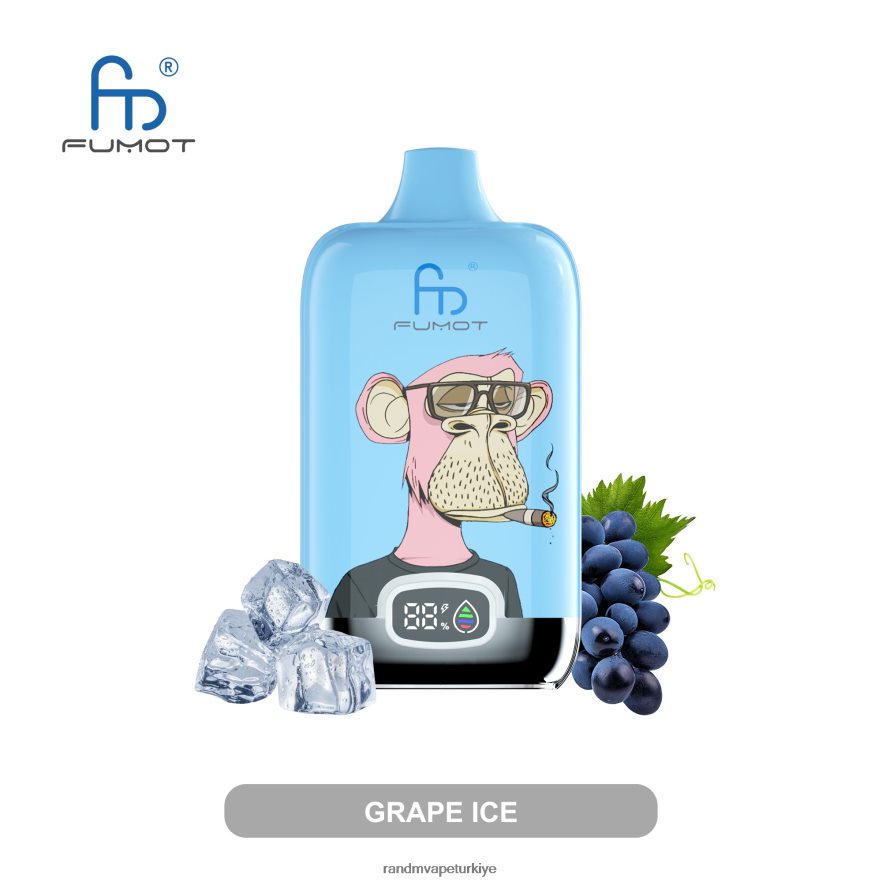 8VZRZR9 Fumot Original RandM Digital Box 12000 pil ve sıvı ekranlı vape cihazı çilekli buz - RandM Disposable Vape
